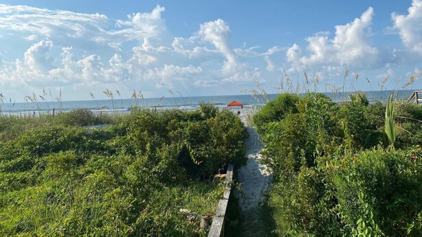A pathway leading to a beach with a red umbrella, surrounded by greenery and a clear sky.