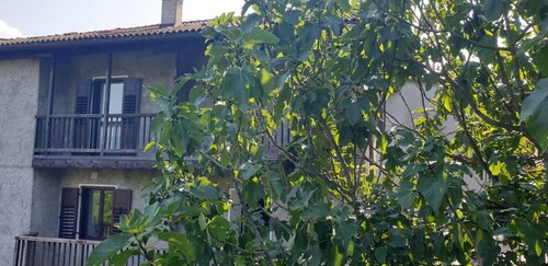 Cà dei Zoani - CODES: CIPAT 022139-AT-722787 and CIN IT022139C2IQ9HP3ZH