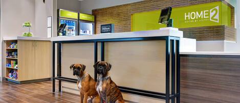 Una mesa de recepción con un letrero que dice 'HOME 2' y el logotipo de 'Hilton Honors'. Dos perros están sentados frente a la mesa.