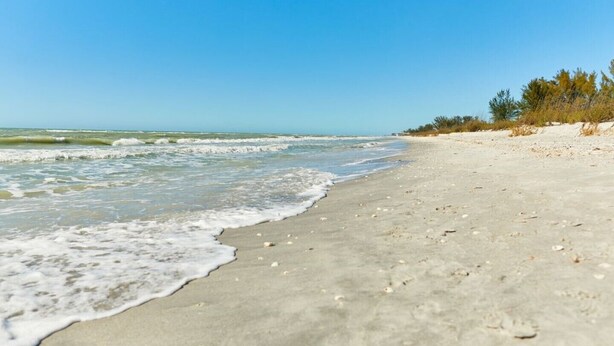 A beach with clear skies and calm waves. - Little Gasparilla Island Getaway (Placida)