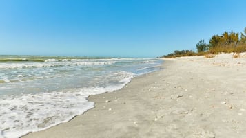 Plage, chaises longues, serviettes de plage