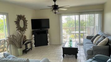 TV connectée, lecteur de DVD, livres