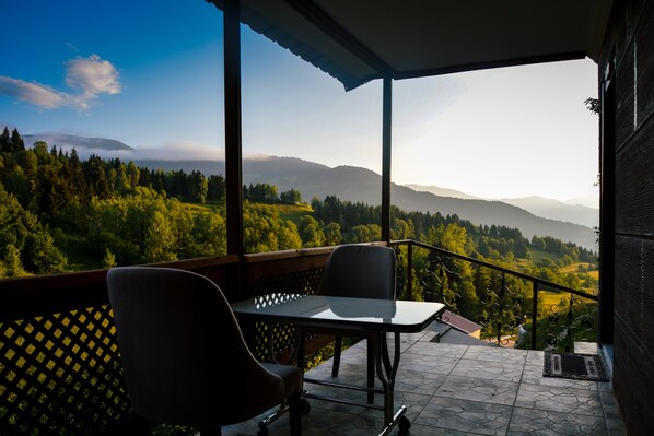 Standard-Bungalow | Terrasse/Patio