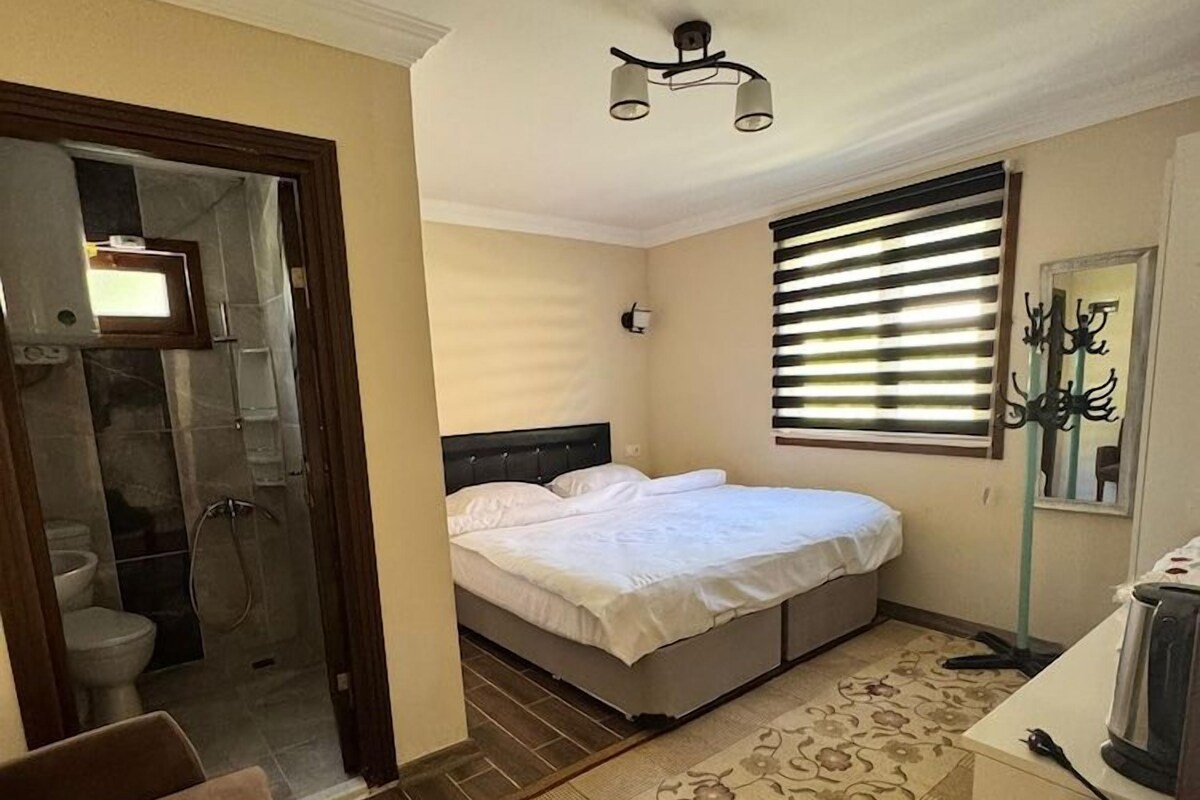 A compact hotel room with a bed, a small desk, a shower, and a bathroom.