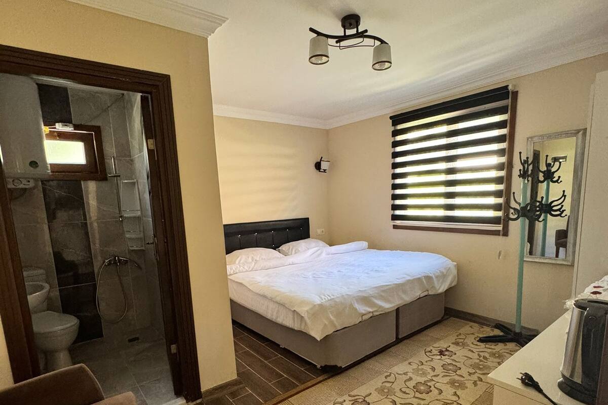 A bedroom with a bed, a bathroom with a shower, and a kitchenette.