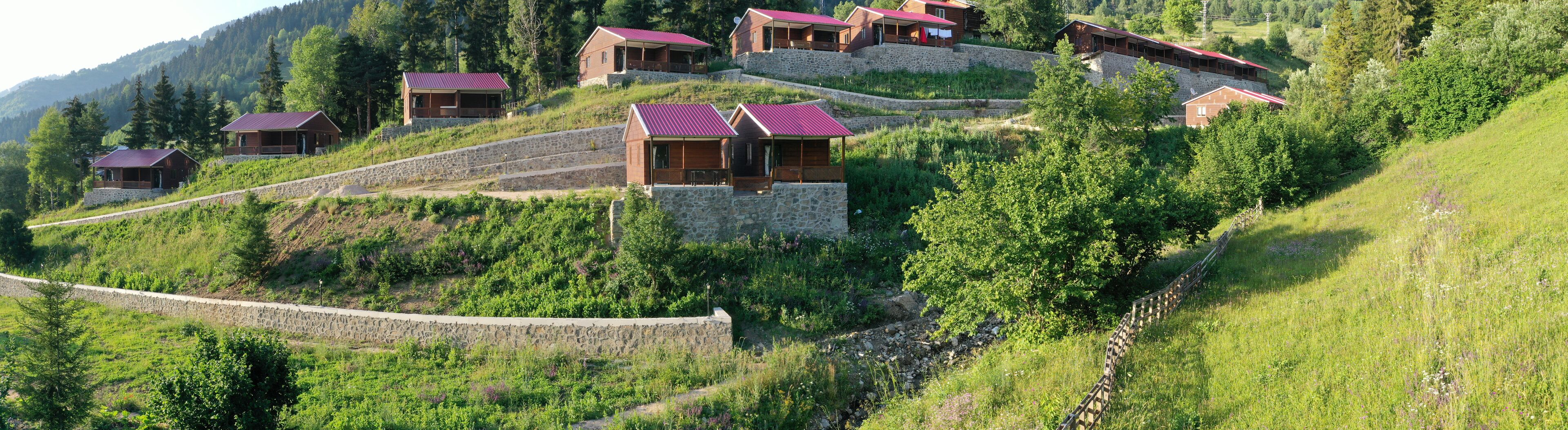 Una propiedad en una ladera con varias cabañas de madera, muros de piedra y abundante vegetación.