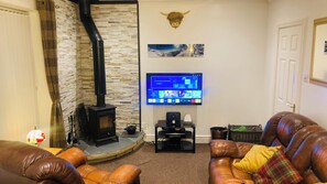 Smart TV, fireplace, DVD player, music library