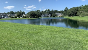 A serene lakeside view with a well-maintained lawn, a fountain, and modern buildings in the background.