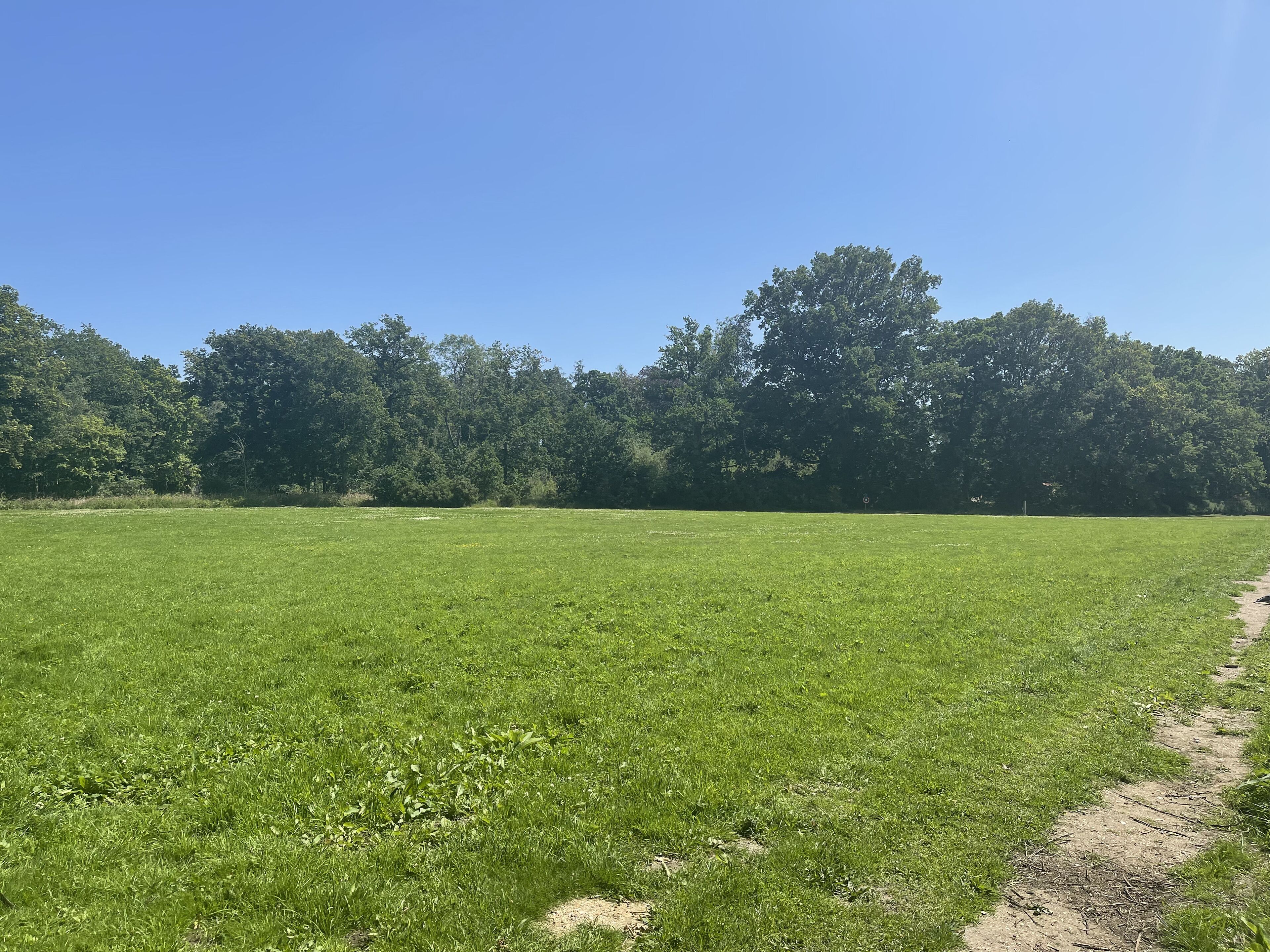 A large open grassy field with a dirt path leading into the distance.