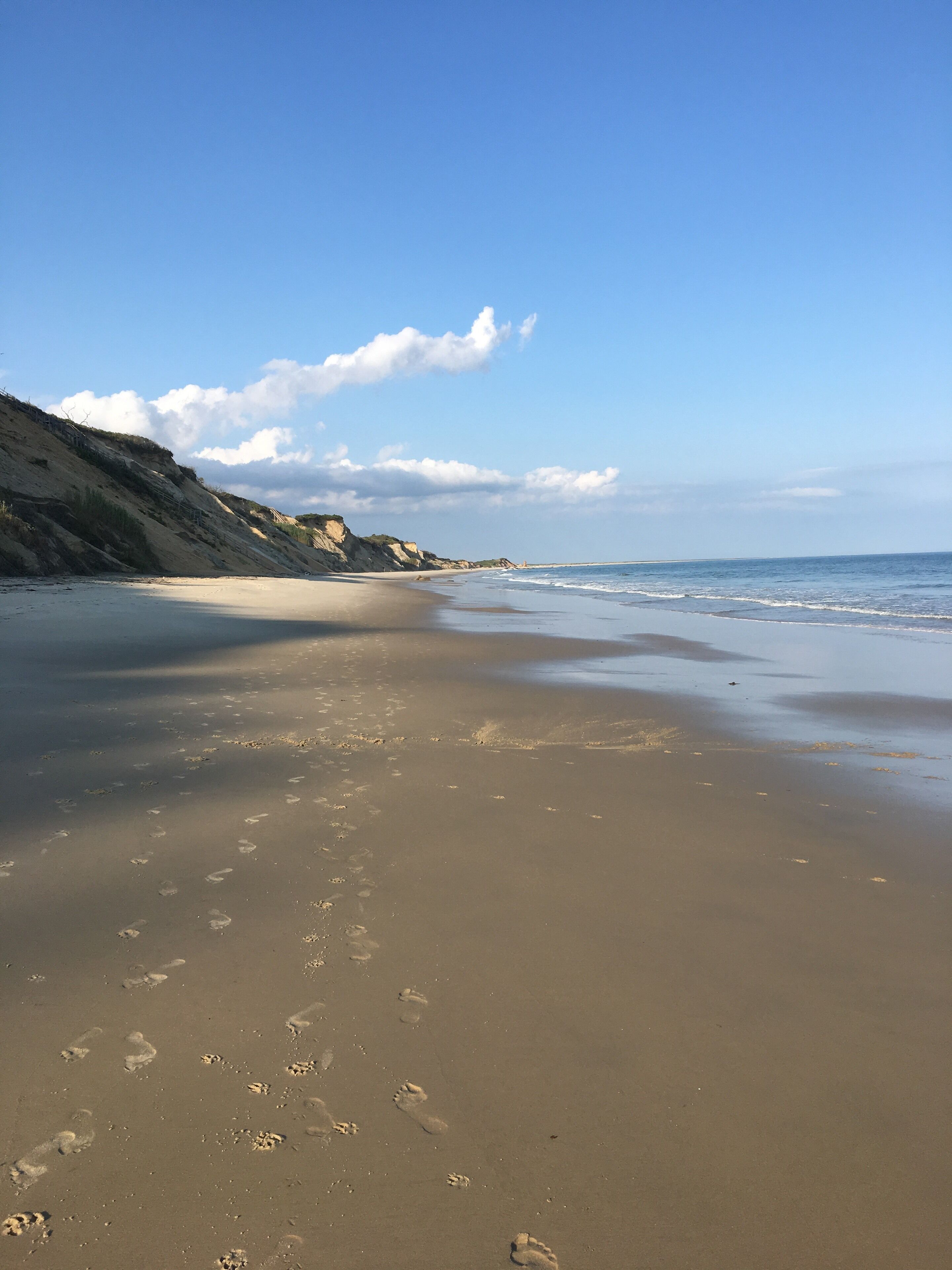 Private Oceanfront Compound, 1/3 mi Private Beach, AC, Chilmark, WiFi