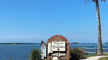 A welcome sign for Dunedin with a view of the water and a palm tree.