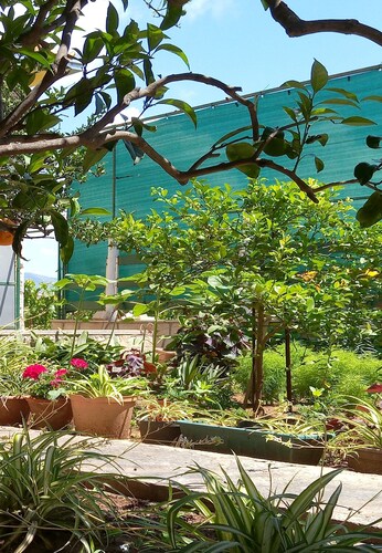 Apartment Kata - Two-Bedroom Apartment with Balcony and Garden View