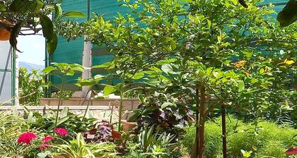 Apartment Kata - Two-Bedroom Apartment with Balcony and Garden View