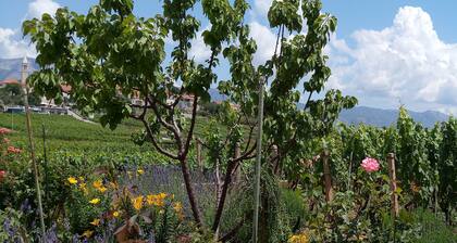 Apartment Kata - Two-Bedroom Apartment with Balcony and Garden View