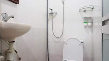 Shower, hydromassage showerhead, hair dryer, toilet paper