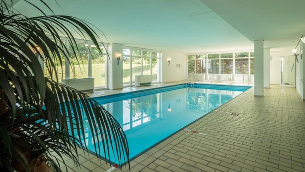 An indoor swimming pool with clear glass walls, a tiled floor, and a palm plant.