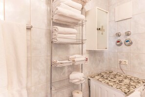Shower, hair dryer, towels
