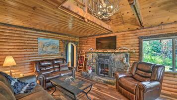 TV, fireplace, books, music library