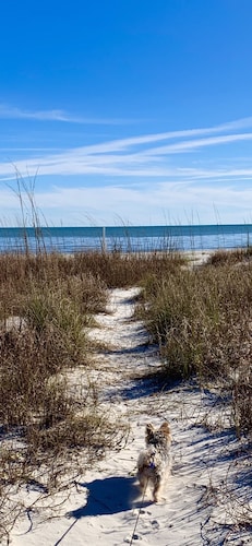 Incommunicado Gulf Front Private RV Lot