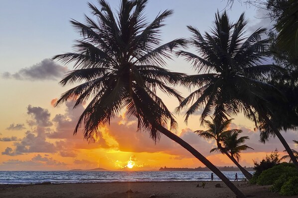Sur la plage