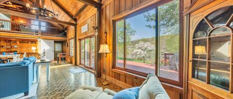 Télévision, cheminée, livres