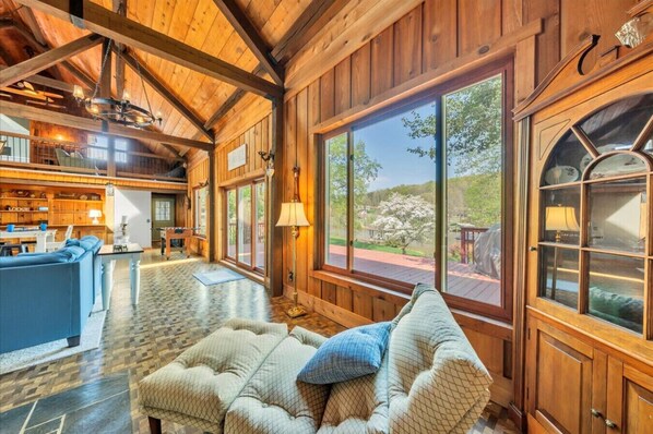 TV, fireplace, books