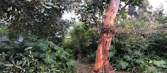 Relax and Unwind at peaceful Bundeena Retreat close to beaches and bushland