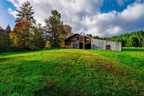 Exterior - Private Farmland Setting, Open Floor Plan, Fire-Pit, BBQ, Next to Creek, Views of Forests and Hills (Gales Creek)