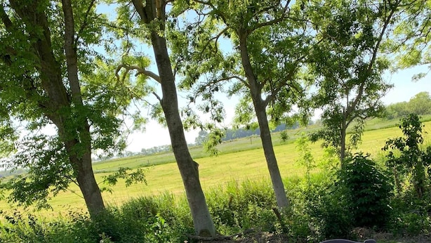 A wooden table and chairs set outdoors with a view of a green field and trees in the background. - Haus Landruhe, Deutschland (Neuharlingersiel)