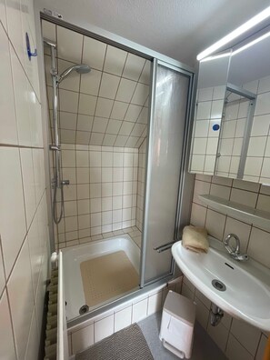 Ducha, toallas, papel higiénico
