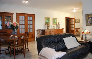 Smart TV, fireplace, books