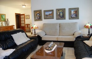 TV connectée, cheminée, livres