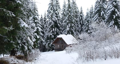 Ferienwohnung Holmbauer - Ferienwohnung