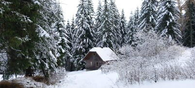 Ferienwohnung Holmbauer - Ferienwohnung
