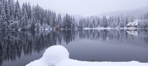 Uklassifisert bilde, 5 av 30, knapp