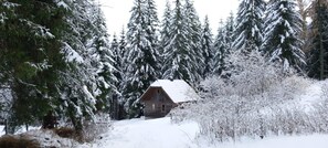 Uklassifisert bilde, 4 av 30, knapp