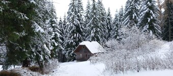 Ferienwohnung Holmbauer - Ferienwohnung