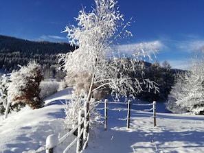 Uklassifisert bilde, 5 av 30, knapp
