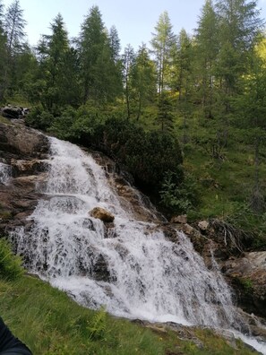 Uklassifisert bilde, 2 av 30, knapp