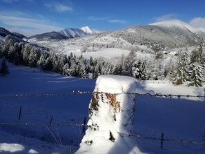 Uklassifisert bilde, 3 av 30, knapp