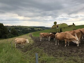 Botón de imagen sin clasificar, 2 de 40