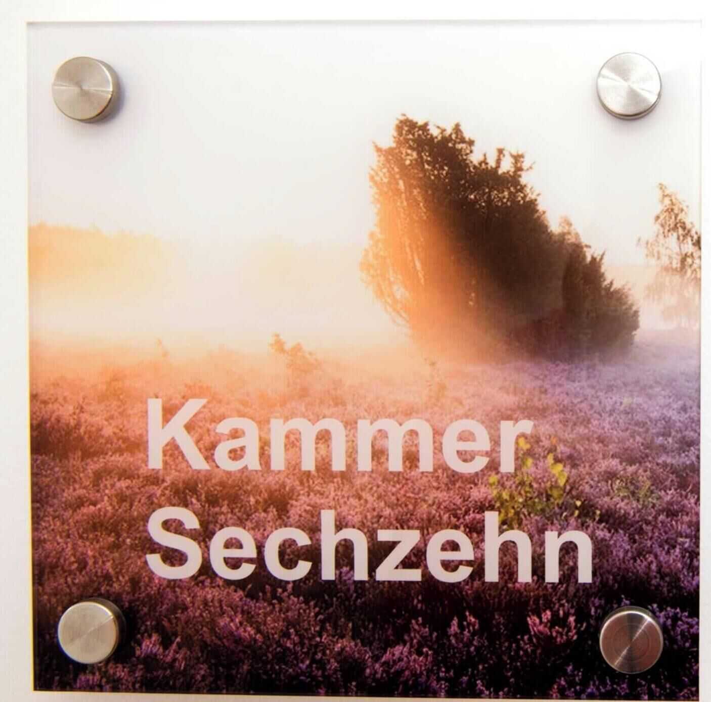 A field of purple flowers with a tree in the background and the text 'Kammer Sechzehn'.