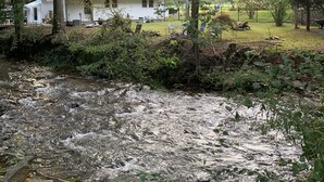 Een huis omringd door bomen en een beek.