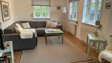 Televisión y chimenea