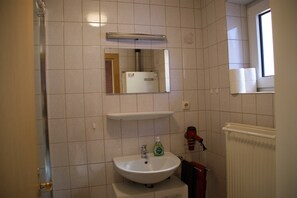 Ducha, secador de pelo, jabón y papel higiénico