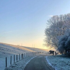 Unclassified image, 5 of 24, button