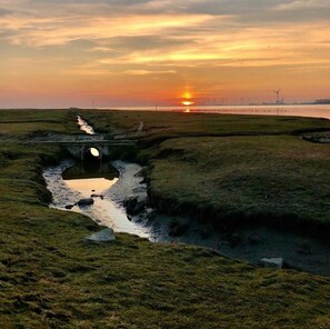 Luokittelematon kuva, 4 kautta 24, painike