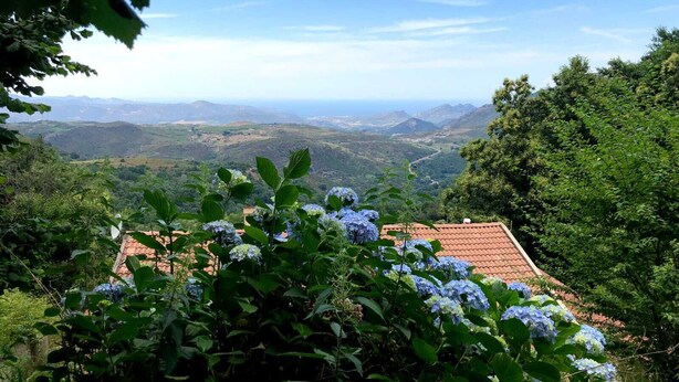 A view of a house with a red-tiled roof, surrounded by lush greenery and blue hydrangea flowers. - Family home with sea view near St-Florent (Rutali)