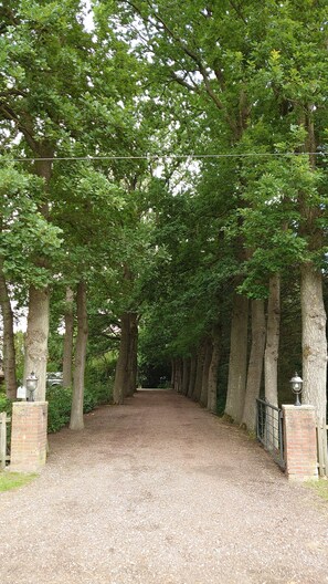 Property grounds - Thatched roof vacation apartment De Tuun - Landhaus Lübbertsfehn Ostfriesland North Sea (Ihlow)