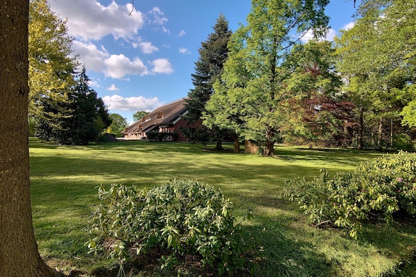 Àrea exterior de l'allotjament